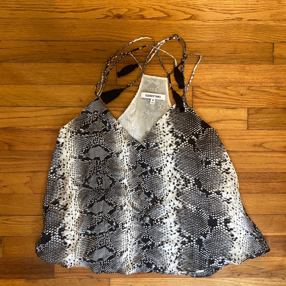 Elizabeth and James Top with Ties